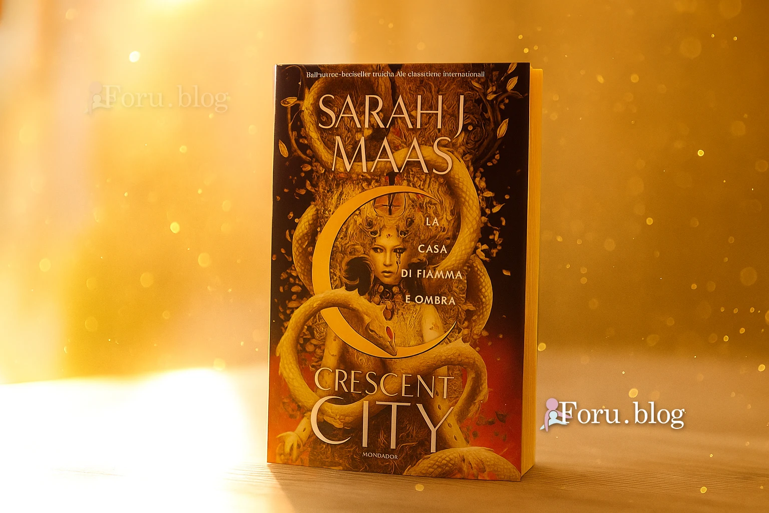 libro la casa di fiamma e ombra sarah j maas